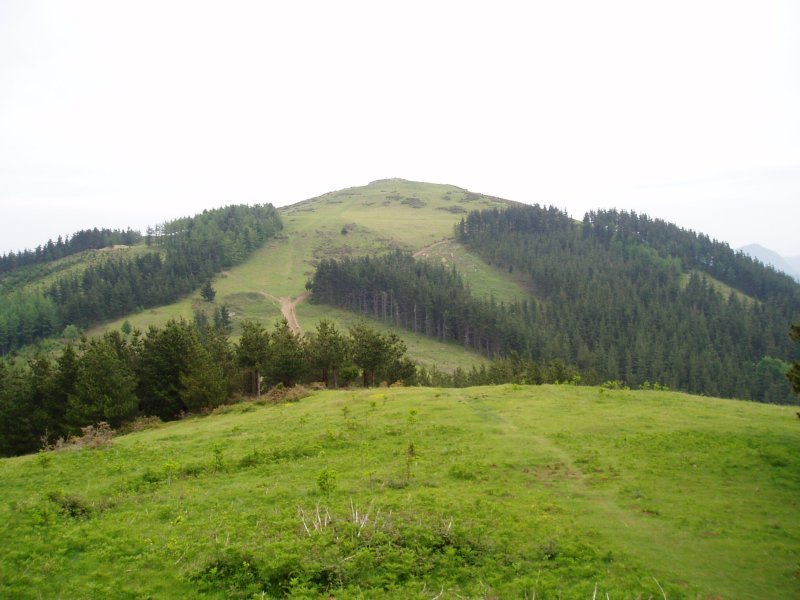 Garagoititik ikusita