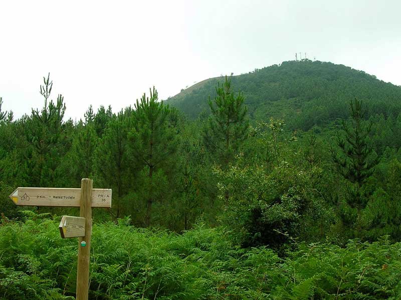 La figura de montenegro nos acompaña durante toda la ascensi?n.