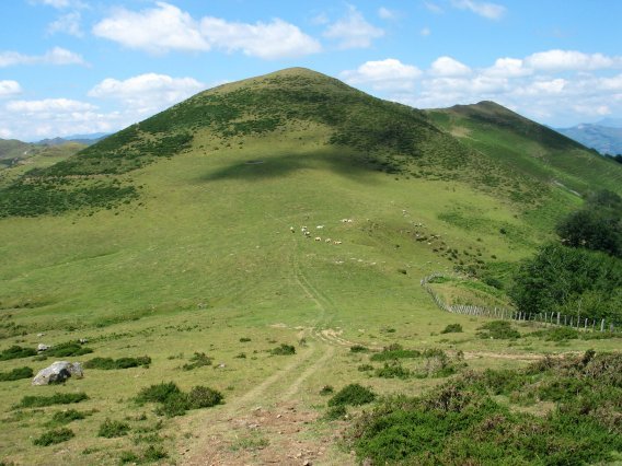 Trepako Bizkarra Loilurtze aldetik