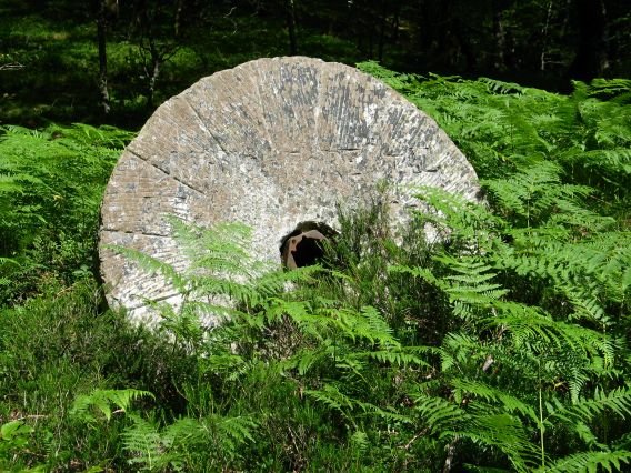 Errotarria Kinto Realeko sarreran