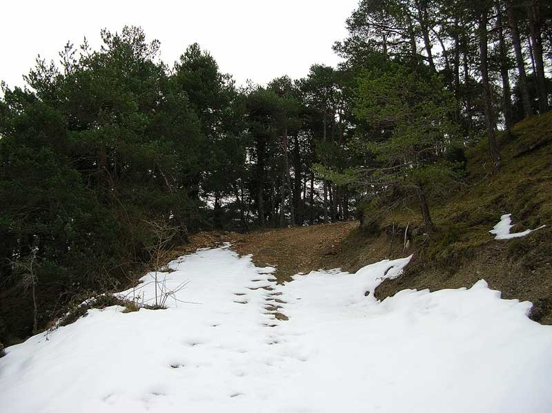 Comienzo del sendero.
