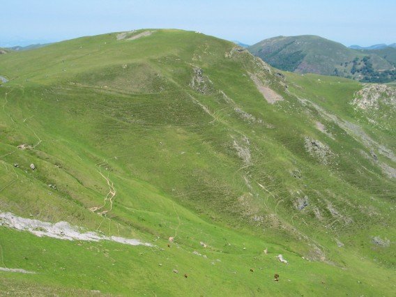 Odeizu aldetik ikusita