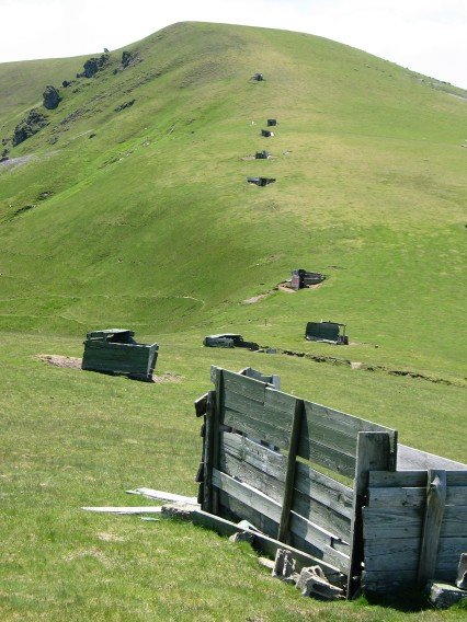 Odeizuko Iko bizkarra