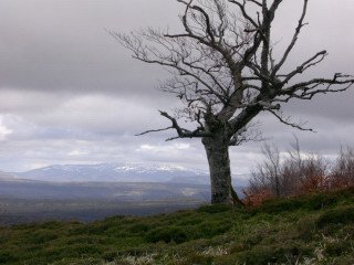 Entorno del monte Dobro