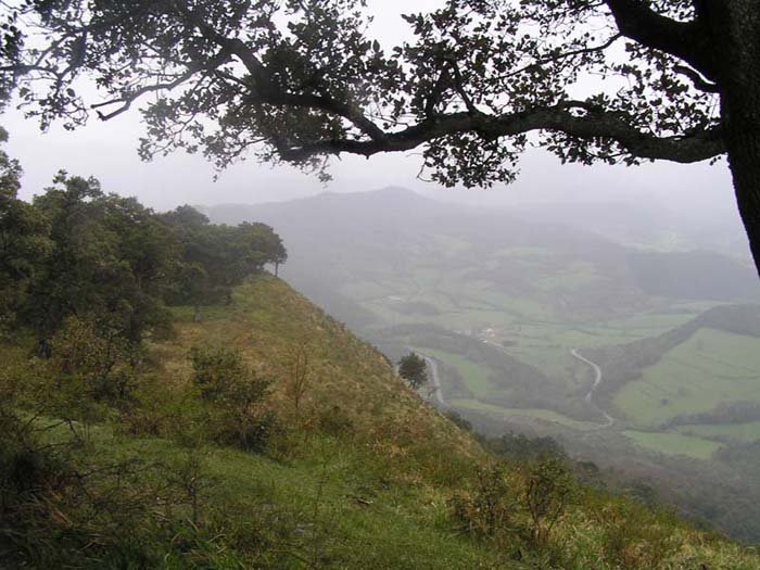 Vista hacia Ribota de Mena