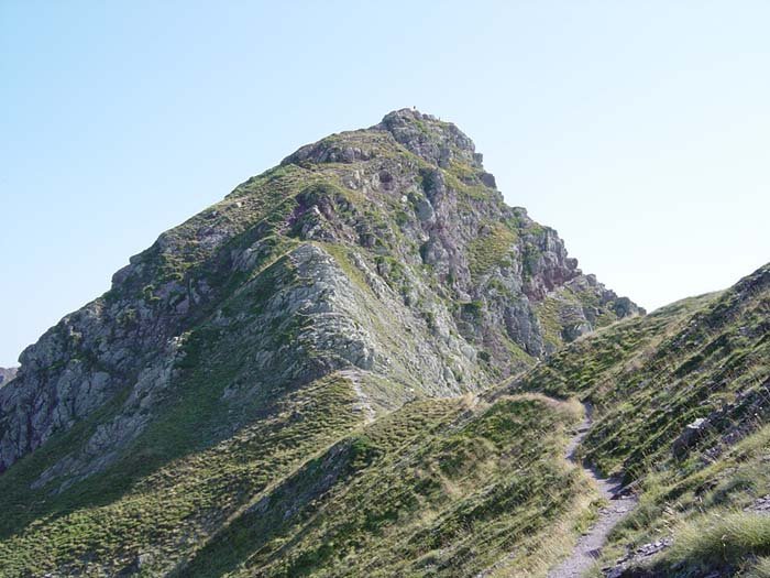 Moinesko gandorra tontorreraino