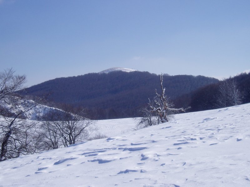 Iparraldetik ikusita