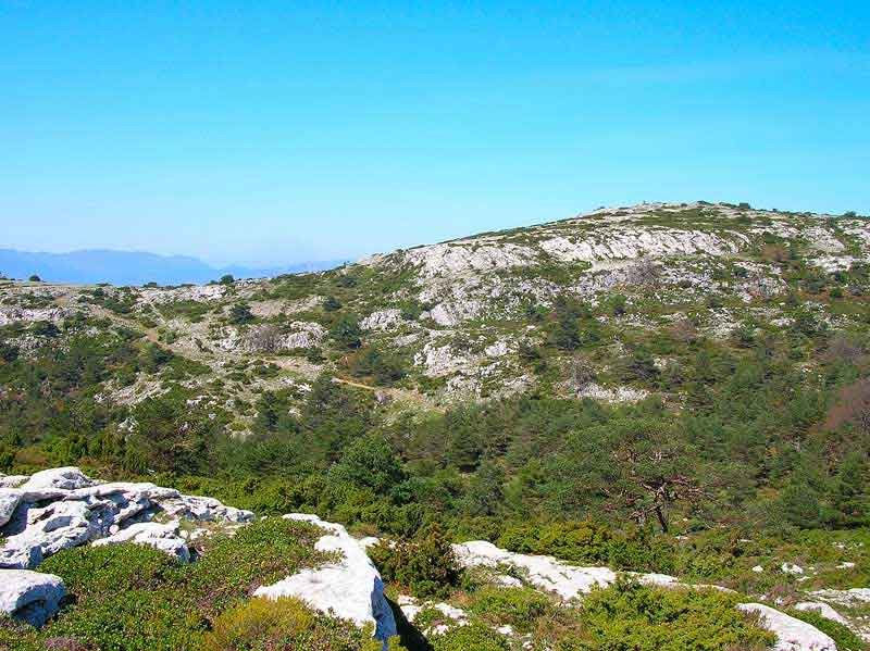 Repico desde la cima de Coronas.