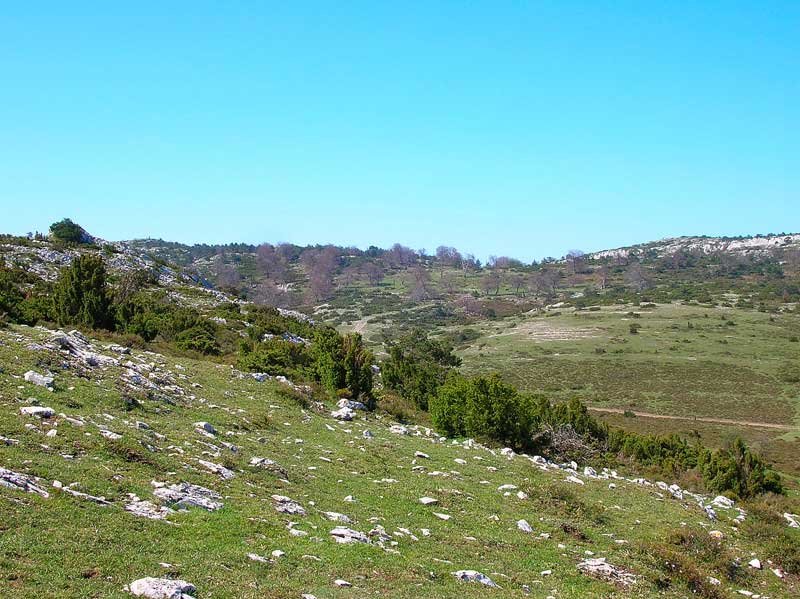 A la izda Alto Coronas,a la dcha Repico.