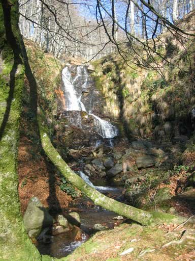 Cascada del r?o Ultzama