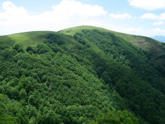 Iparraldeko isurialdea