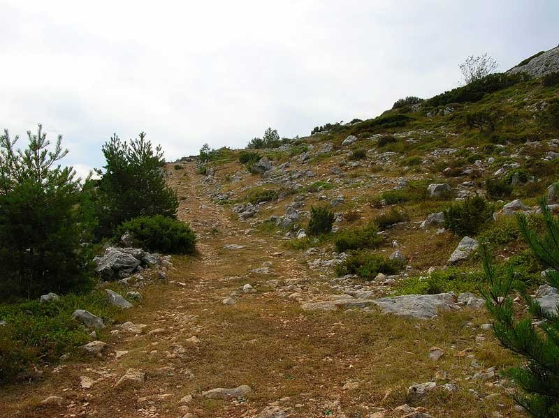 Caminando por plena sierra...
