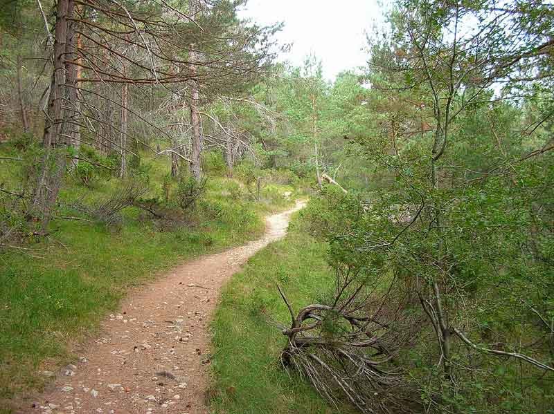El sendero de ascenso es precioso.
