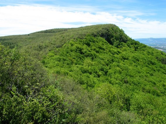 Gainaldeko pagadia ekialdetik ikusita