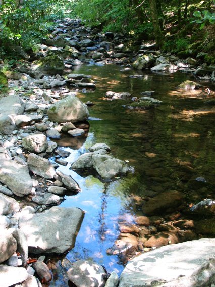 Aierdiko erreka Lantz aldean