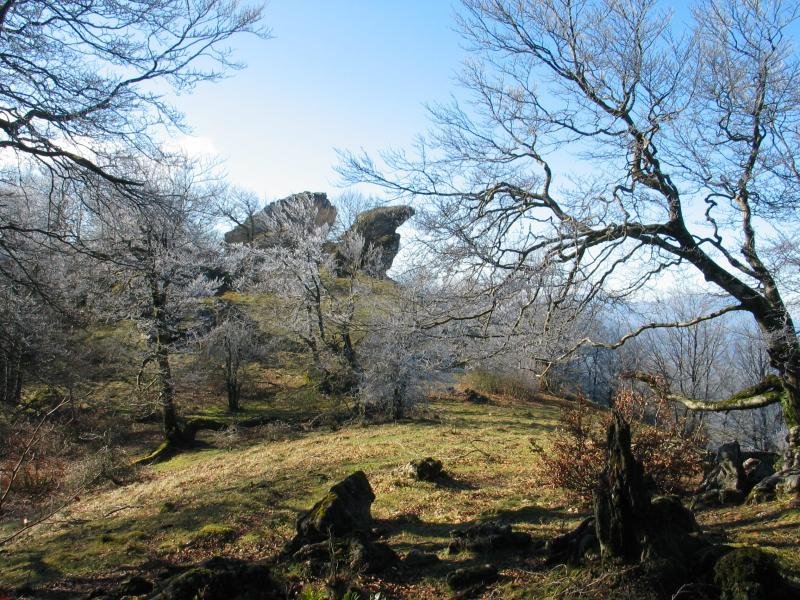 Ekialdeko gandorreko pasarte bat