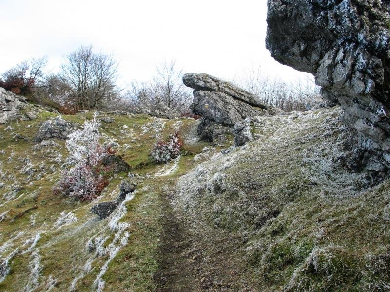 Tontorraren inguruak