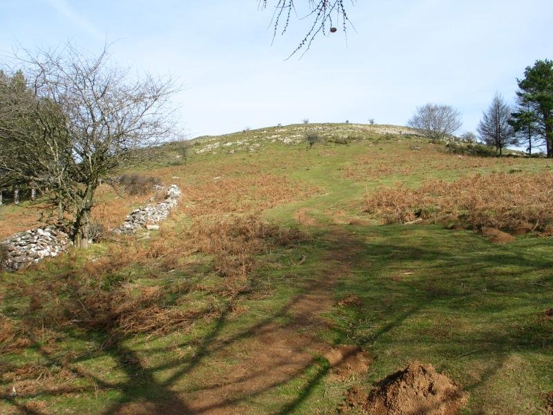 Tontorrerako azken txanpa Htik