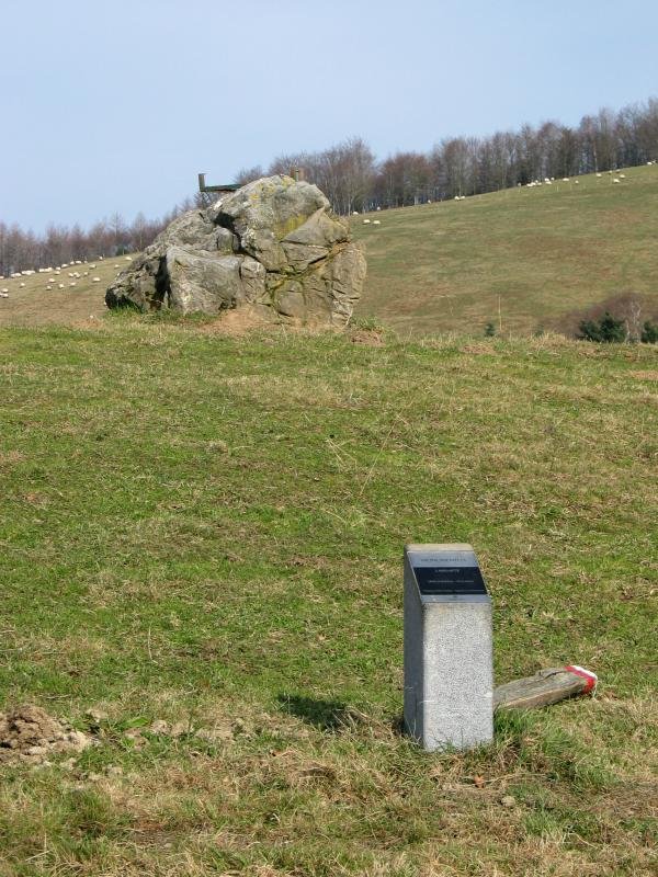 Larrarteko trikuharria