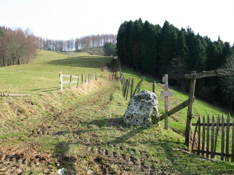 Larrartetik gorako bidea