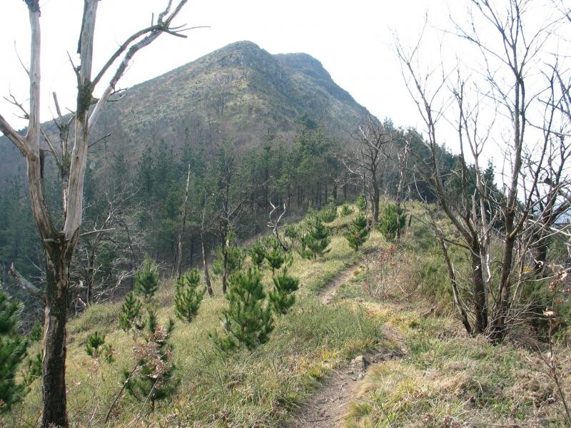 IEko gandorreko bidea