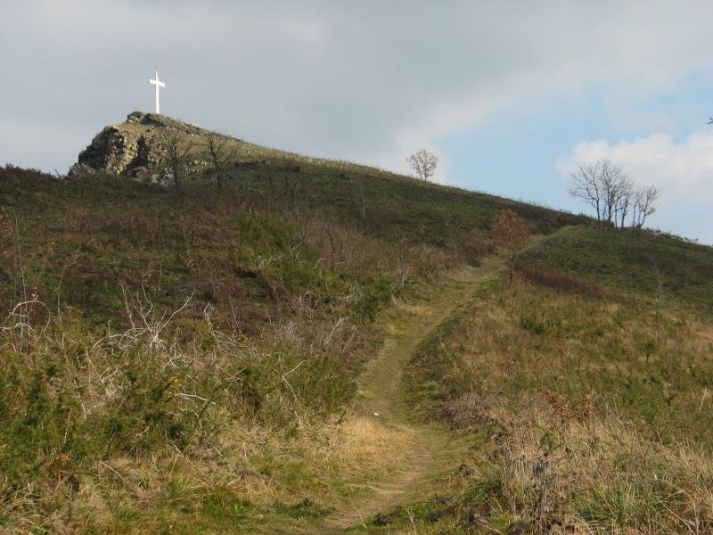 Andoain aldetik igotzen den bidea