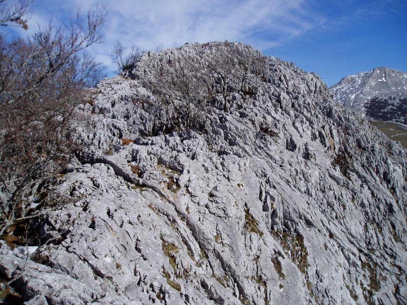 Tontorra hego-mendebaldetik ikusita