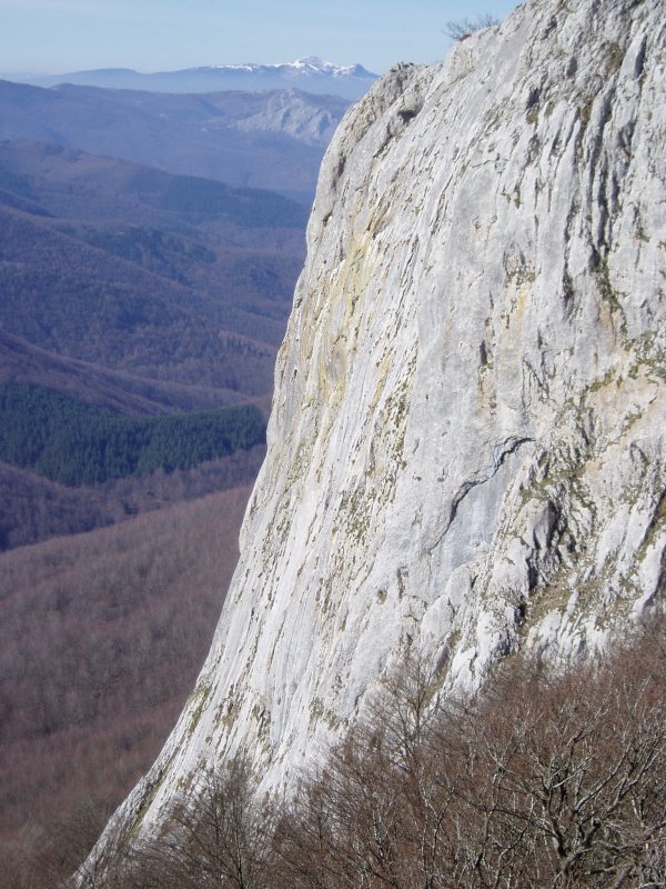 Hegoaldeko hormatzarra