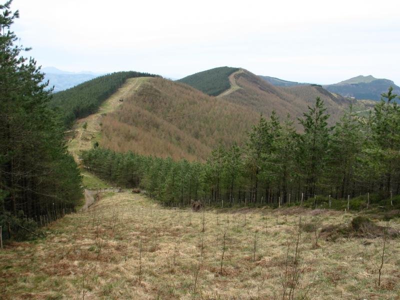 Unamunoko suebakitik ikusita