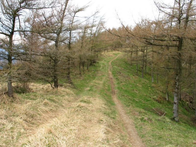 Mendebaldeko bizkarreko bidea