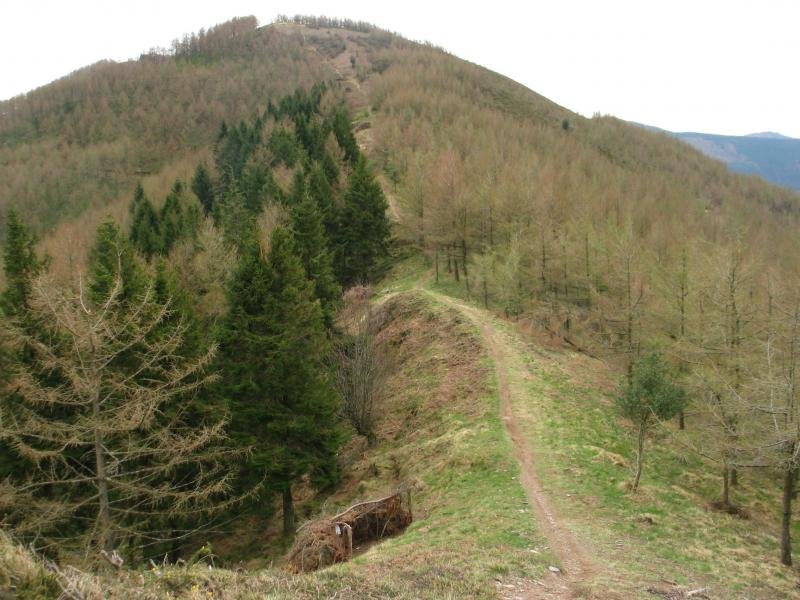 Mendebaldeko bizkarra eta bidea