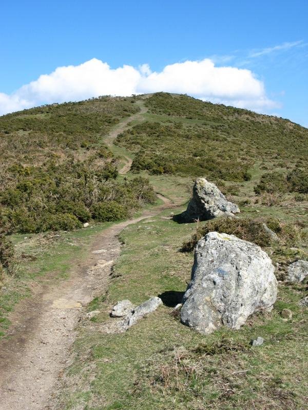 Tontorrerako azken metroak, Htik