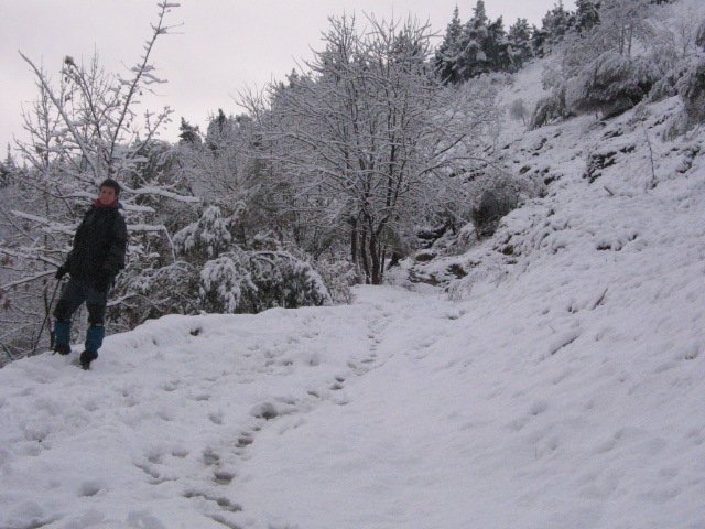 igoeran bide zaharretik