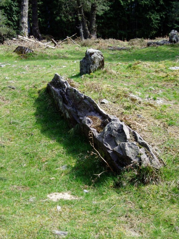 Otsolepoko trikuharria