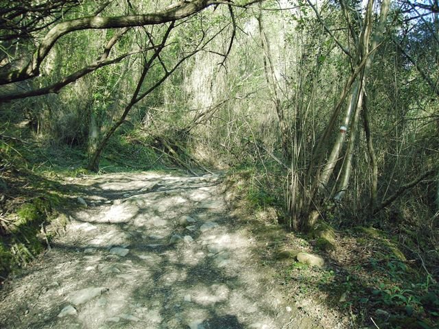 Senderos bien marcados a cada pocos metros.