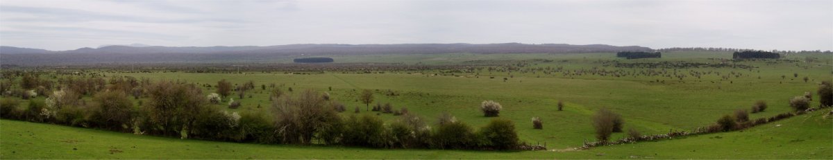 Urbasako erdiguneko larren ikuspegi zabala jauregiaren ondotik
