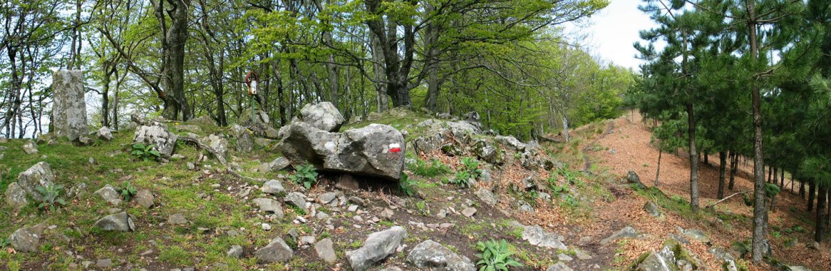Oregiko gaineko panoramika
