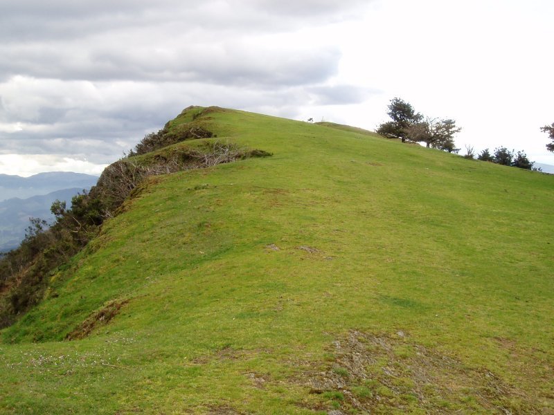 Tontorra ipar-mendebaldetik ikusita