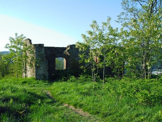 alluitz71@hotmail.com