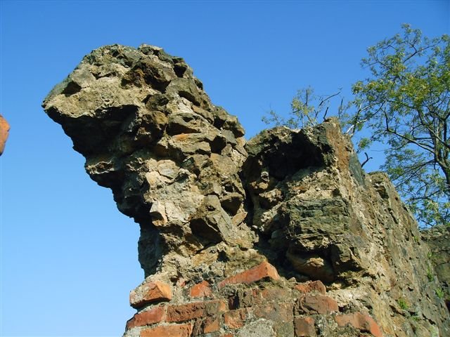 alluitz71@hotmail.com