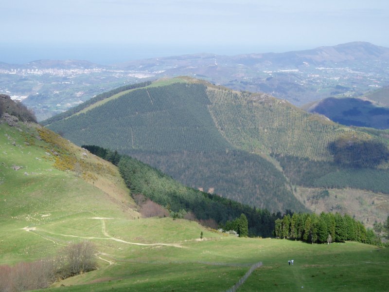 Adarrako maldetatik ikusita