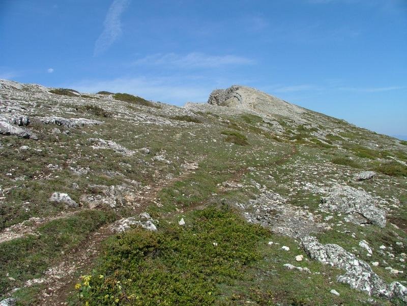 SENDERO QUE LLEVA AL UMIÓN