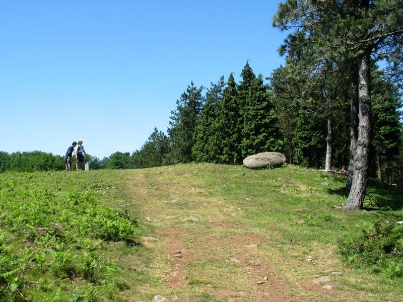 Arribiribiletako trikuharria