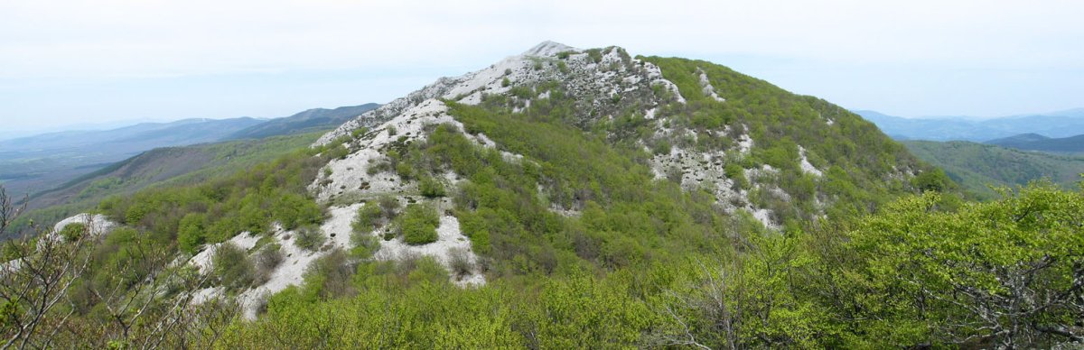 Umandiako bizkarretik ikusita