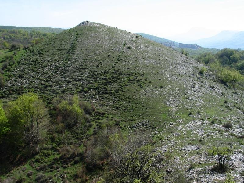 Tontor txikia, Ekialdean