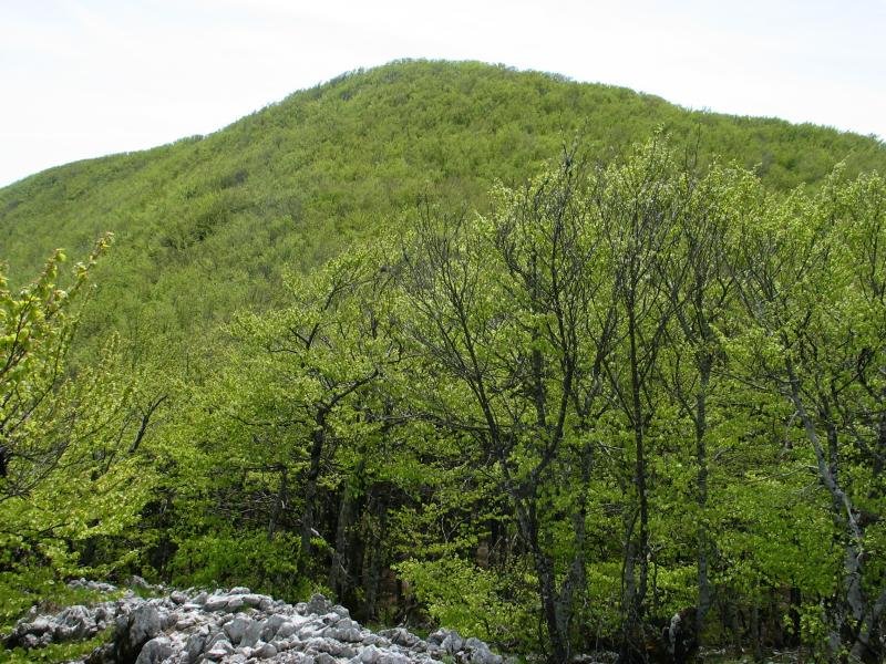 Iparraldeko isurialdea