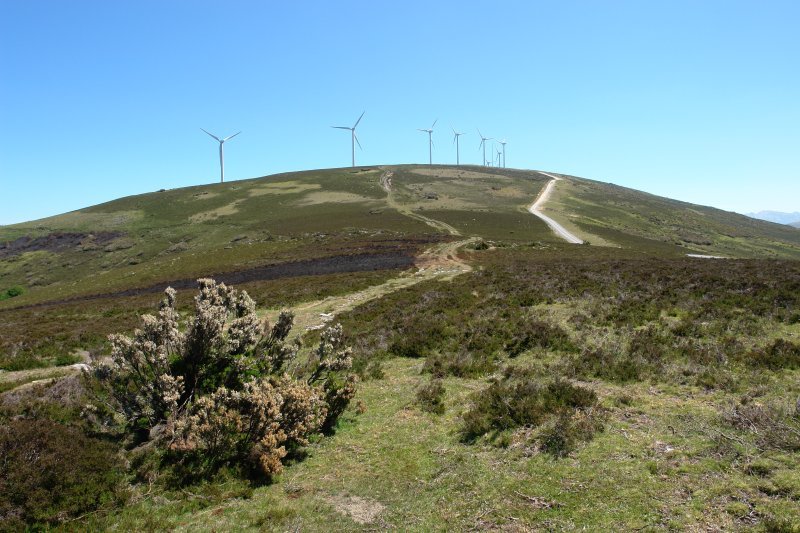 Mendebaldeko lepotik ikusita
