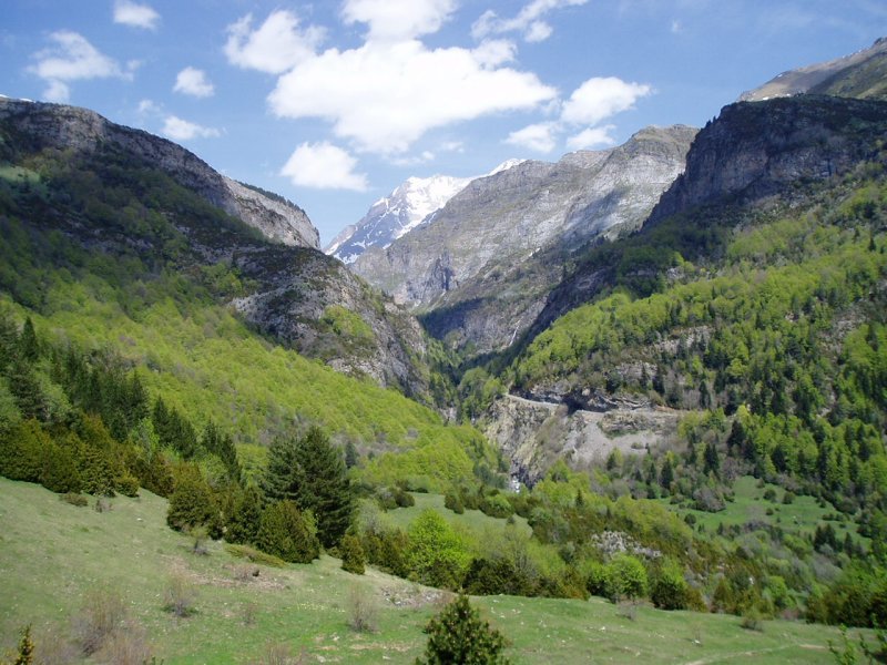 Bujarueloko bailararen ikuspegi bat