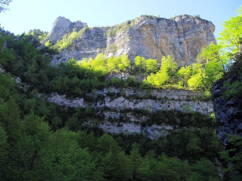 Añiscloko arroileko hormak