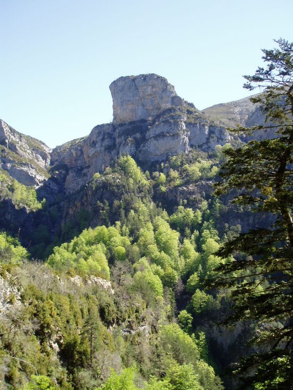 Selva Plana ingurutik ekuspegia